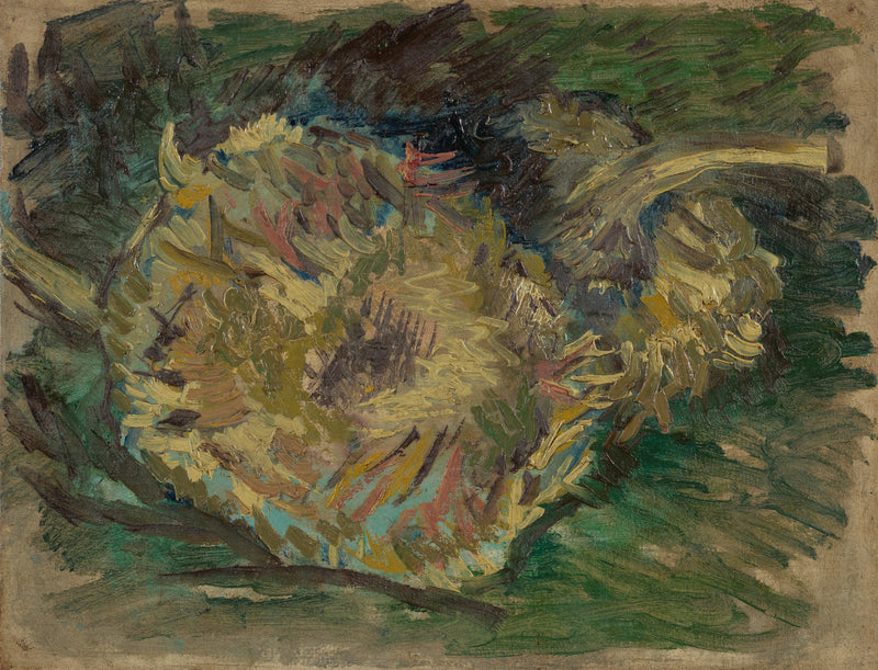 Girasoli montati a semi - Vincent van Gogh