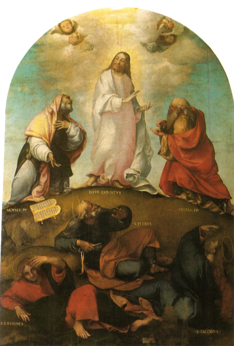Trasfigurazione di Cristo - Lorenzo Lotto