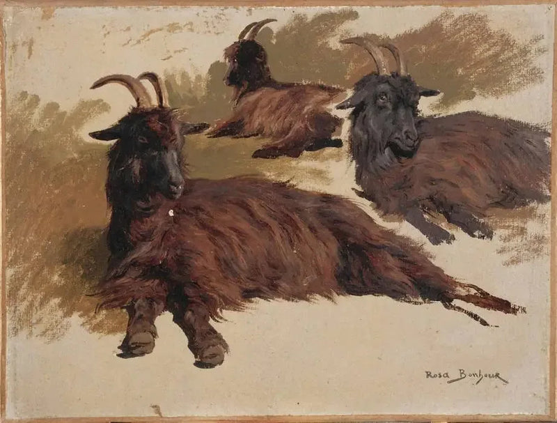 Tre capre al riposo - Rosa Bonheur