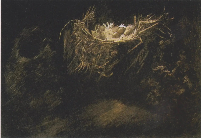 Natura morta con tre nidi d'uccelli - Vincent van Gogh
