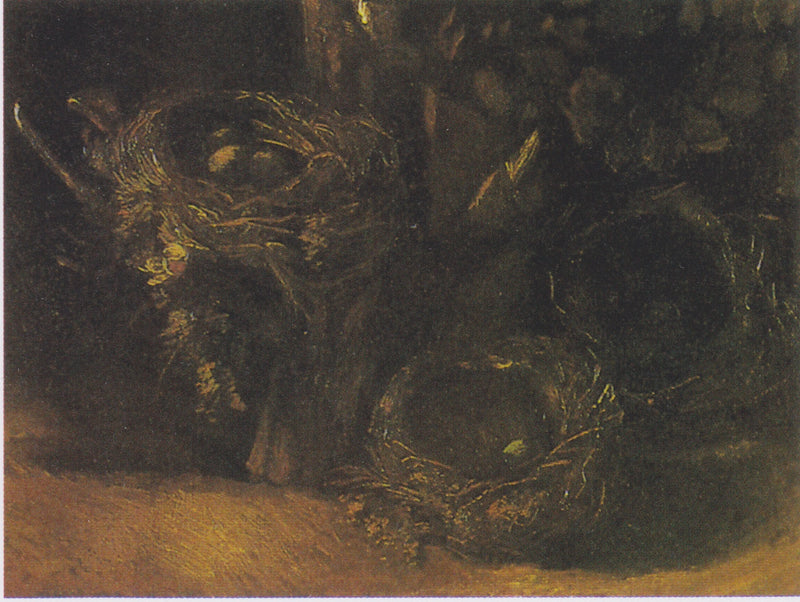 Natura morta con tre nidi d'uccelli - Vincent van Gogh