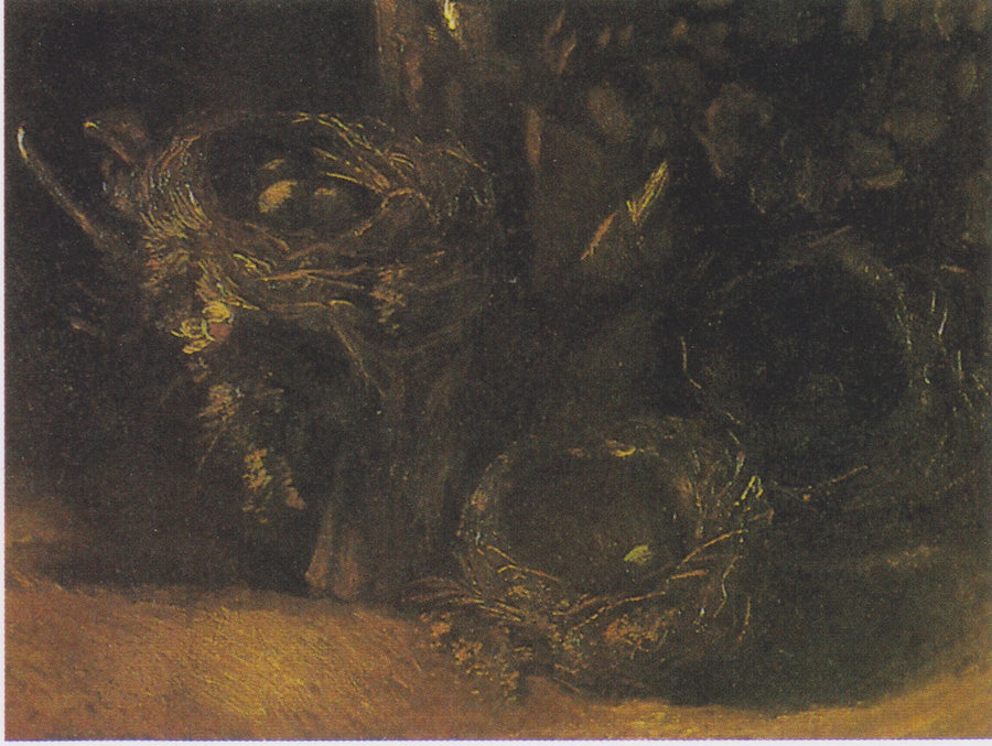 Natura morta con tre nidi d'uccelli - Vincent van Gogh