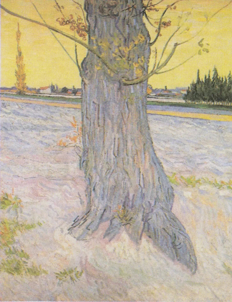 Tronco di un vecchio tasso - Vincent van Gogh