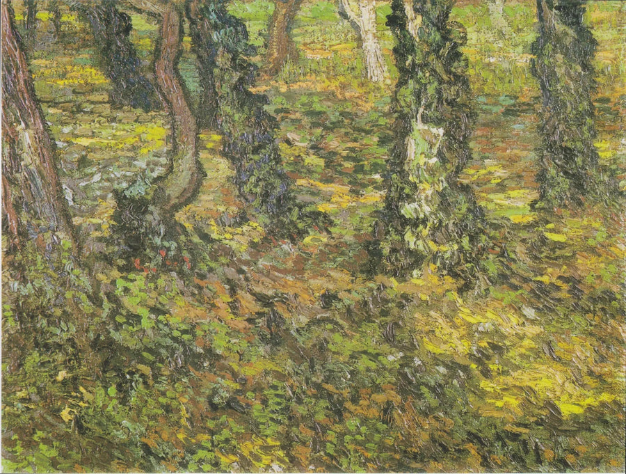Tronchi d'albero con edera - Vincent van Gogh