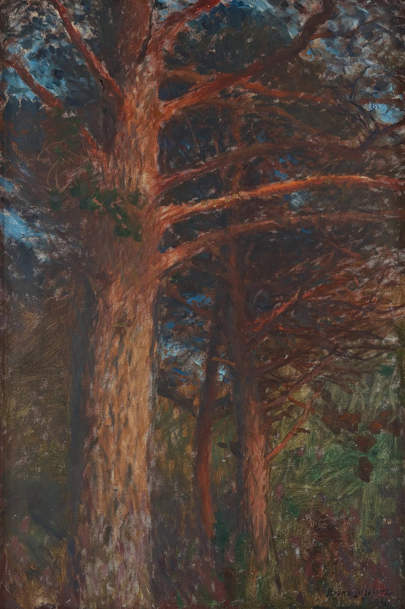 Tronchi di pino dopo il tramonto - Bruno Liljefors