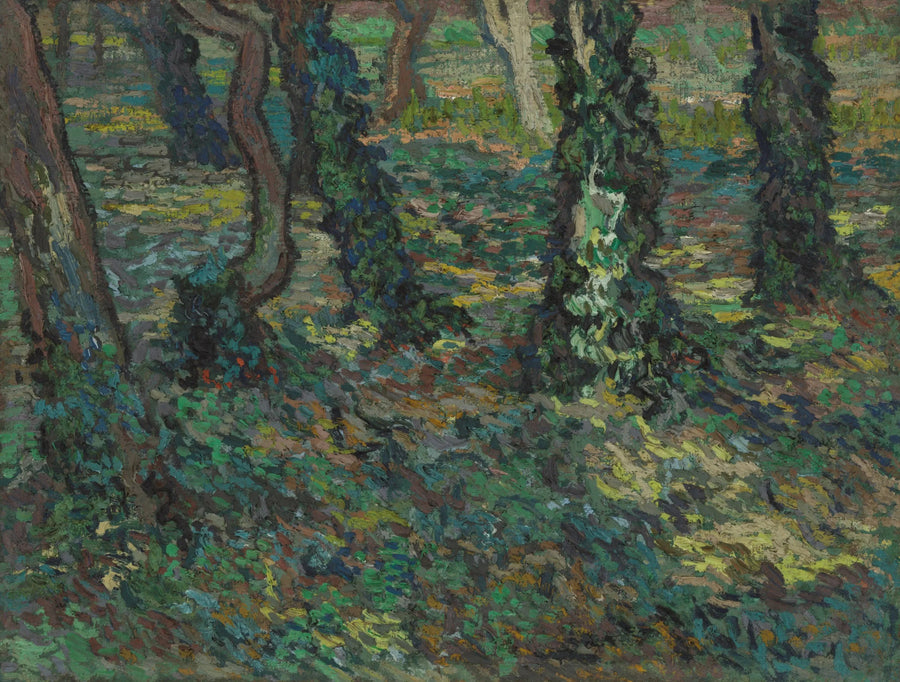 Tronchi d'albero con edera - Vincent van Gogh