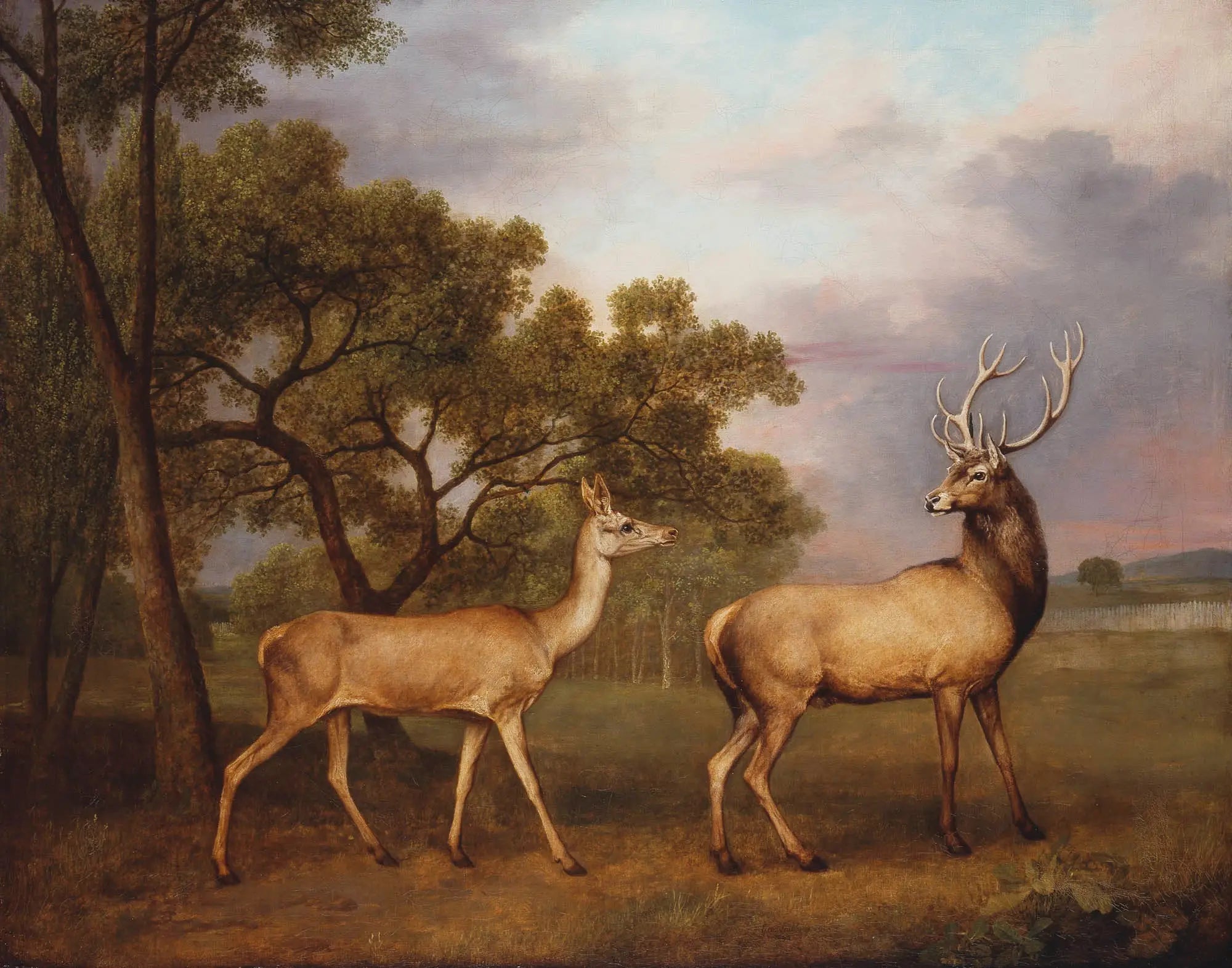 Un cerf élaphe mâle et une biche - George Stubbs - Alpha Reproduction