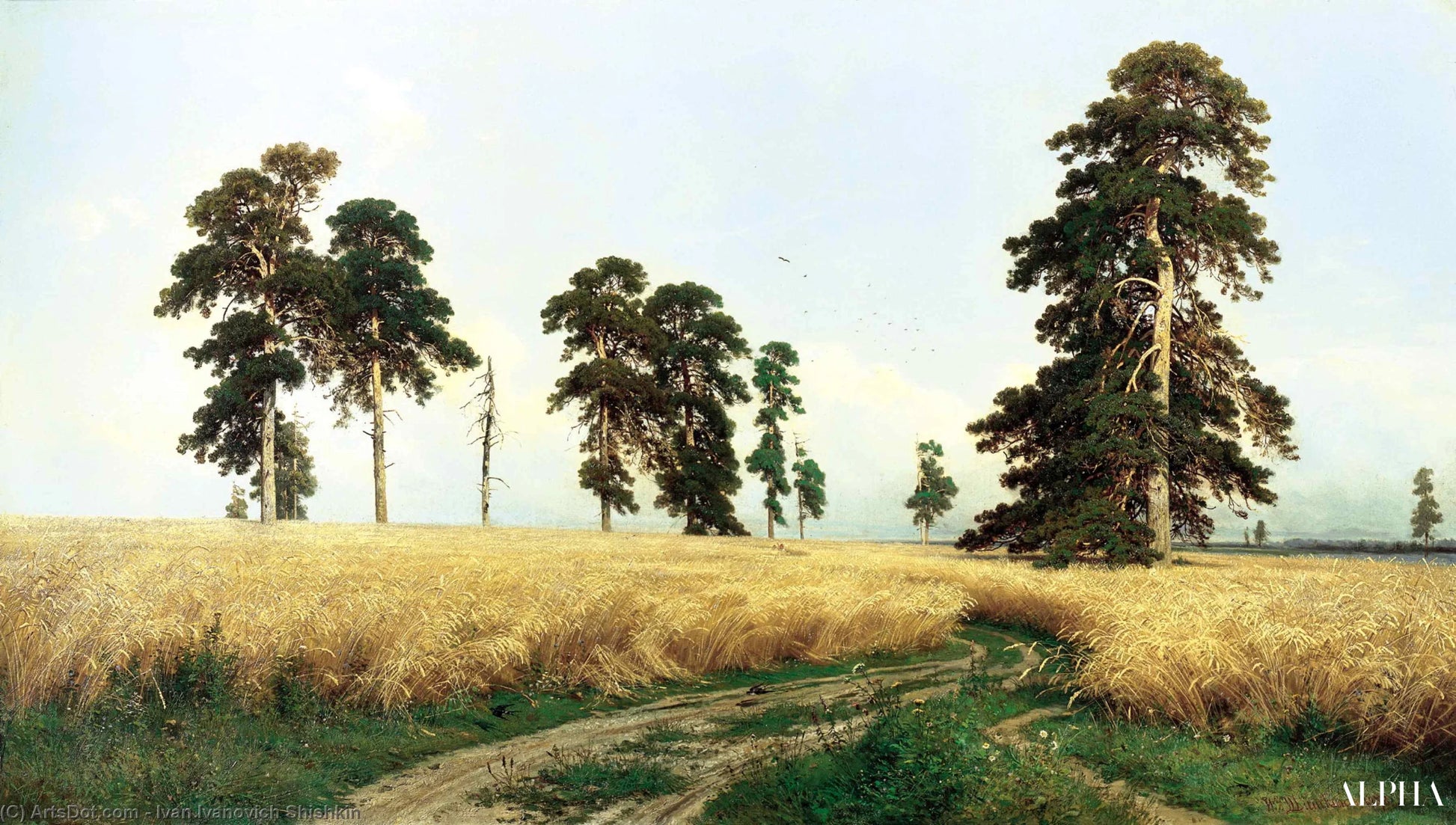 Un campo di segale - Ivan Shishkin - Riproduzioni di quadri e dipinti di alta gamma