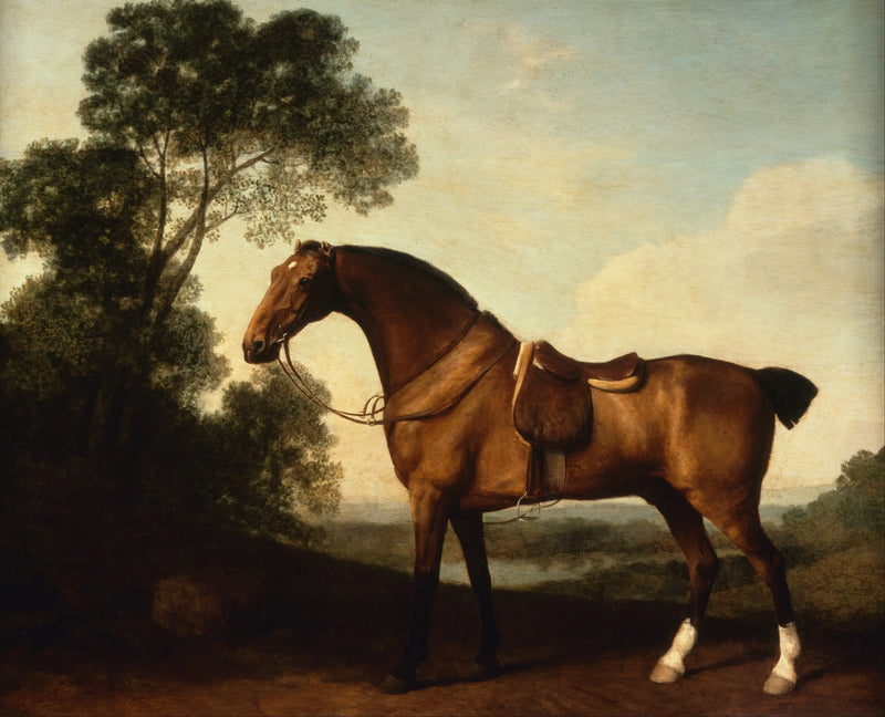 Un cacciatore di baie sellé - George Stubbs