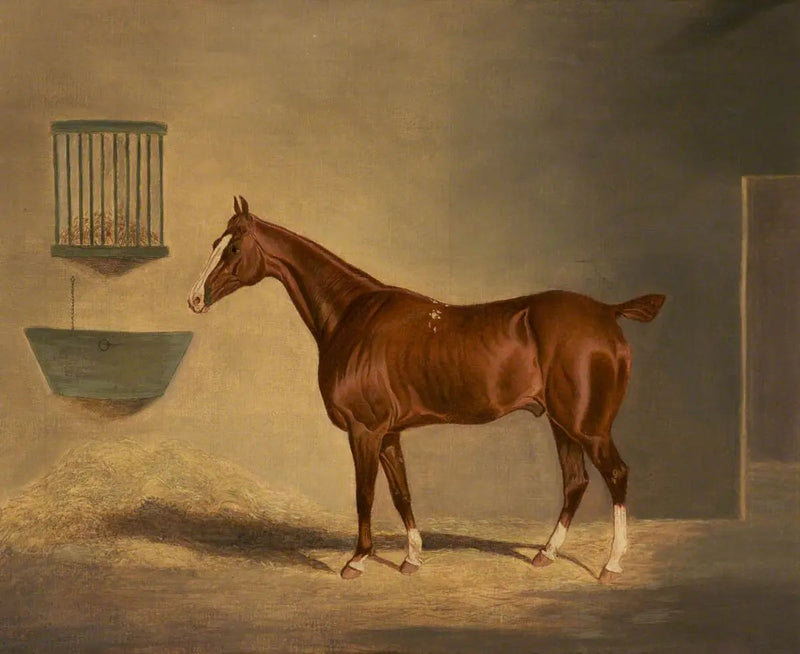 Un cavallo alezán in una scuderia - John Frederick Herring, Sr.