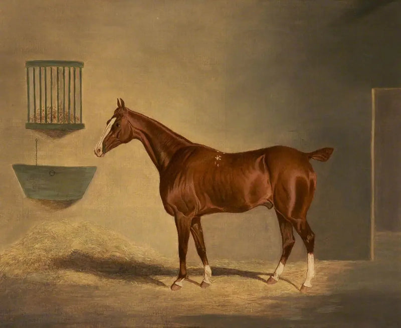 Un cavallo alezán in una scuderia - John Frederick Herring, Sr.