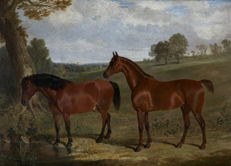 Un cavallo baio e un pony in un paesaggio - John Frederick Herring, Sr.