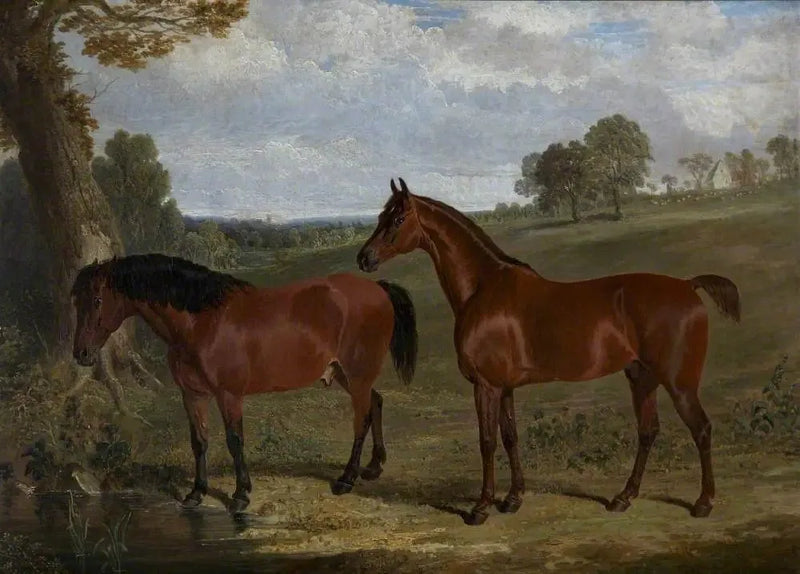 Un cavallo baio e un pony in un paesaggio - John Frederick Herring, Sr.
