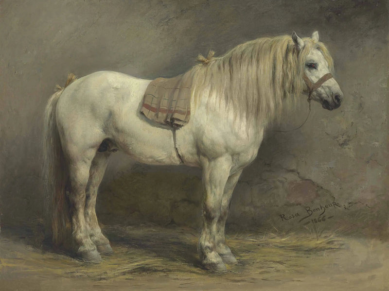 Un cavallo bianco - Rosa Bonheur