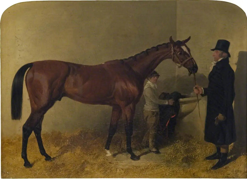 Un cavallo da corsa baio in una scuderia - John Frederick Herring, Sr.
