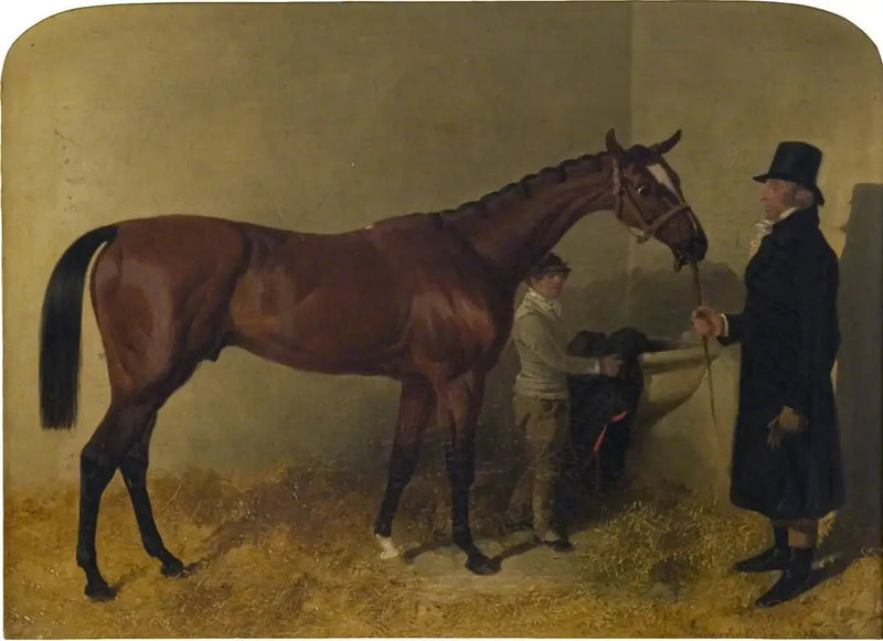 Un cavallo da corsa baio in una scuderia - John Frederick Herring, Sr.