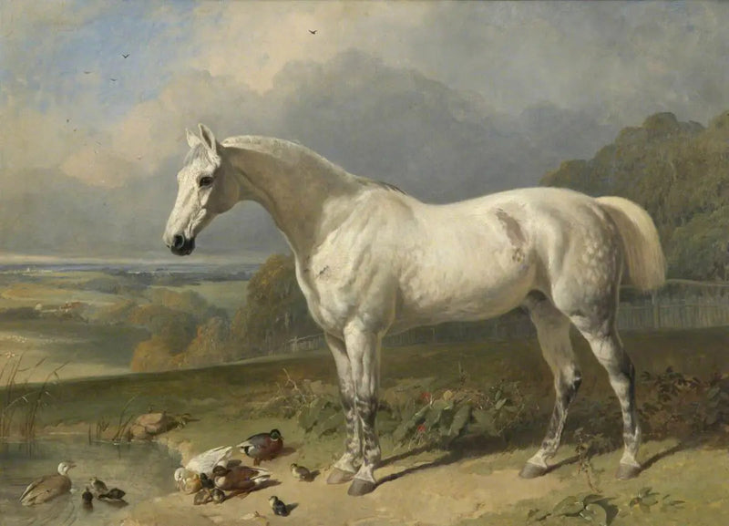 Un cavallo grigio e dei anatre in un paesaggio - John Frederick Herring, Sr.