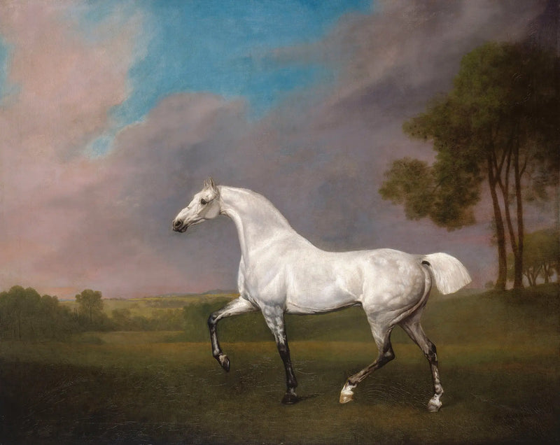 Un cavallo grigio - George Stubbs