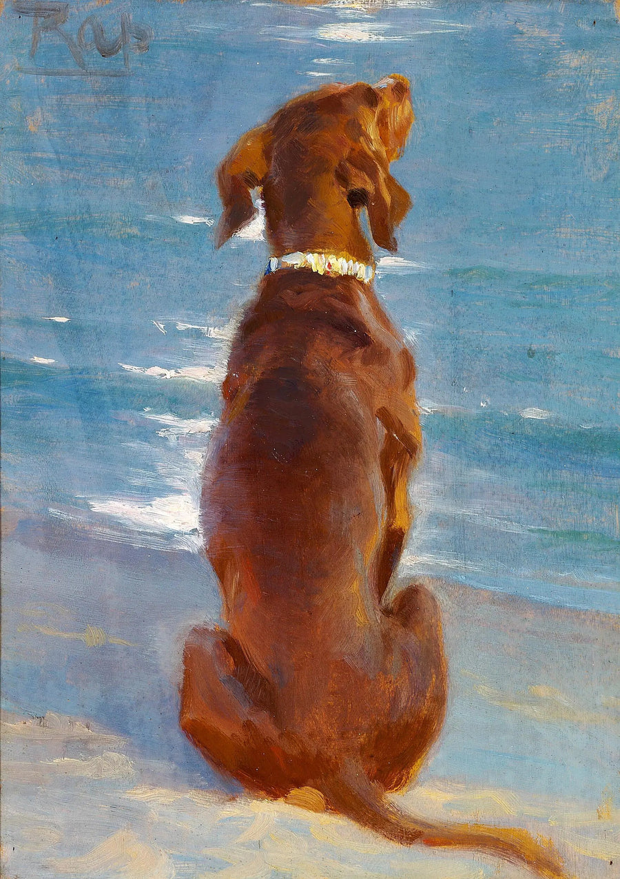 Un chien marrone seduto. Rap. - Peder Severin Krøyer