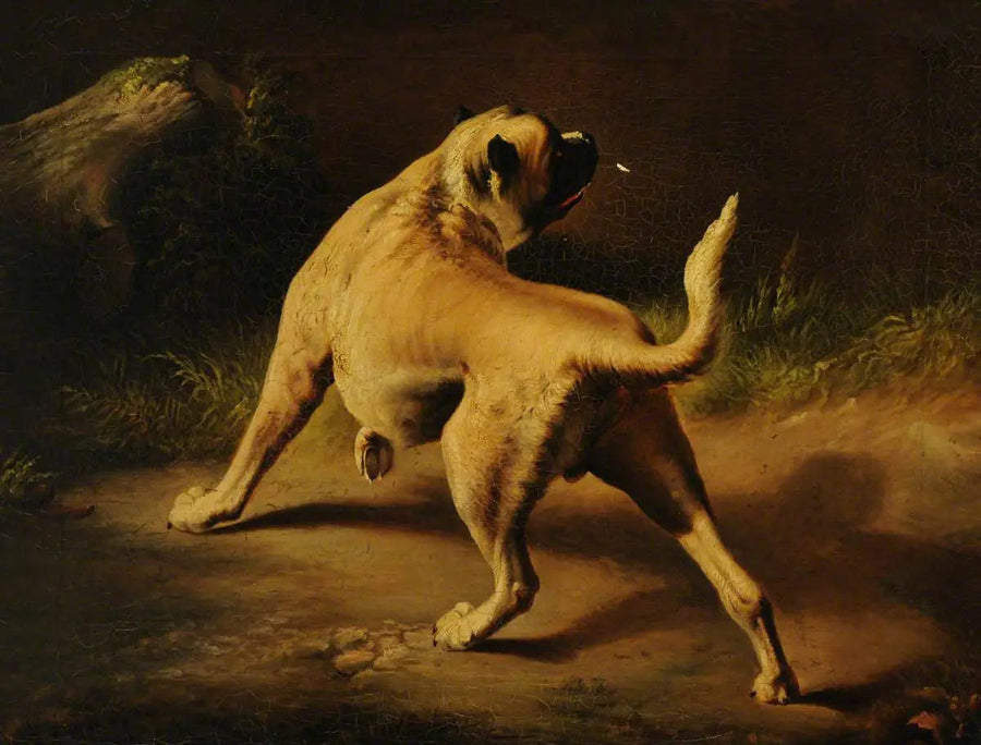 Un chien in allerta - Edwin Henry Landseer