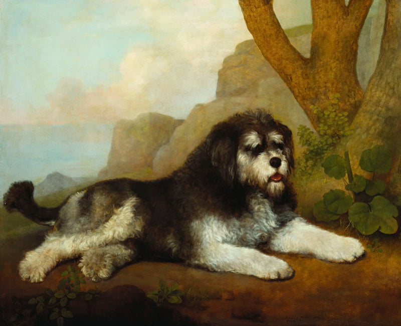 Un cane rude - George Stubbs