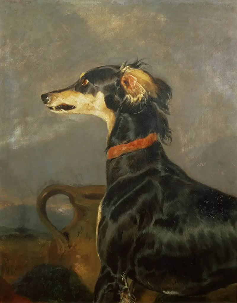 Un cane Saluki - Edwin Henry Landseer