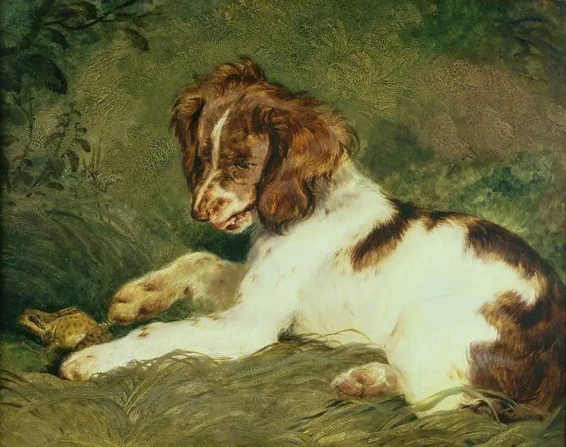 Un cucciolo scherza con una rana - Edwin Henry Landseer