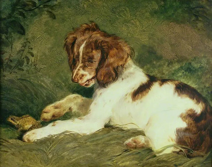 Un cucciolo scherza con una rana - Edwin Henry Landseer