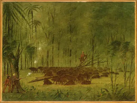 Un combat avec des pécaris - Caraïbes - George Catlin - Alpha Reproduction