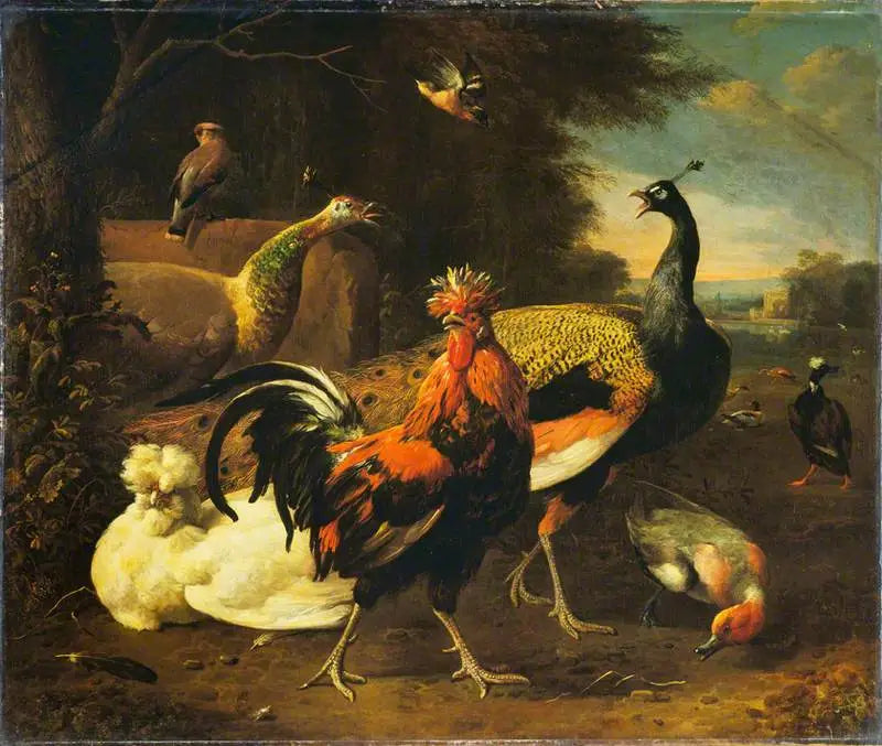 Un gallo con altri uccelli - Melchior de Hondecoeter