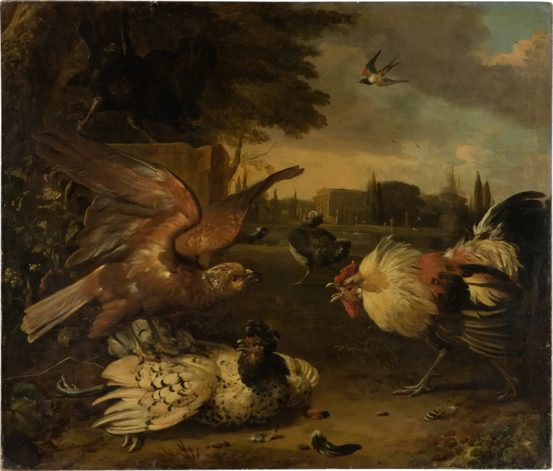 Un gallo difende una gallina contro un uccello rapace che la attacca - Melchior de Hondecoeter