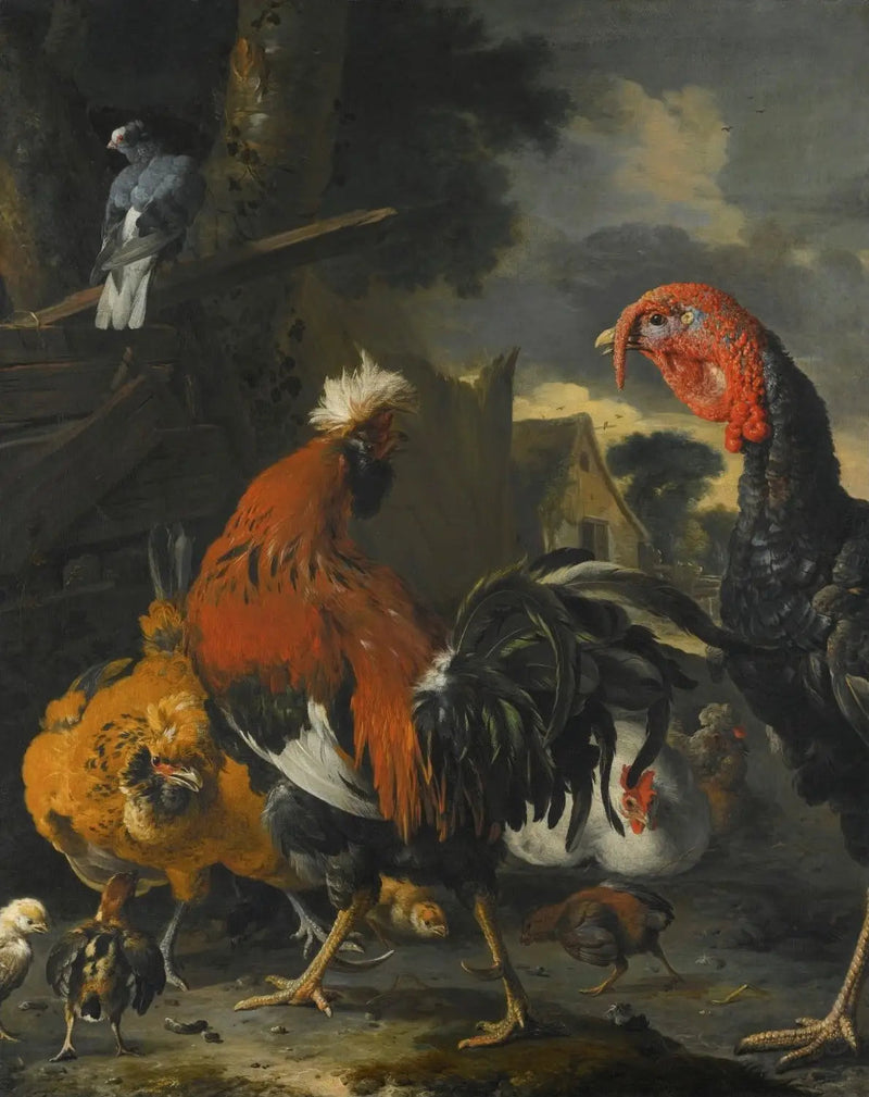 Un gallo, una gallina, delle galline e dei pulcini in un cortile - Melchior de Hondecoeter