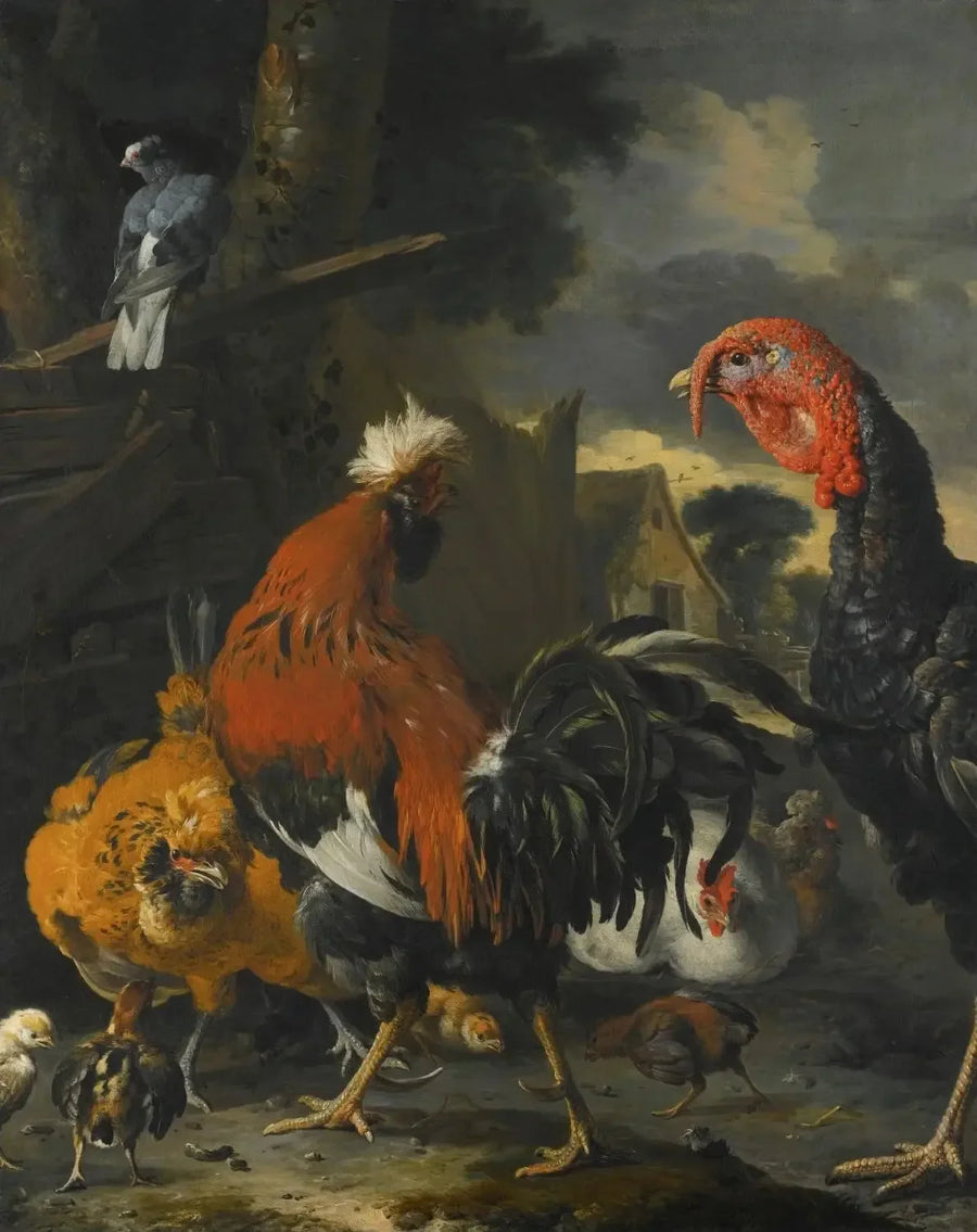 Un gallo, una gallina, delle galline e dei pulcini in un cortile - Melchior de Hondecoeter