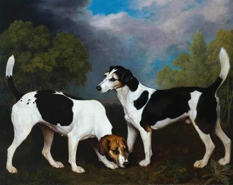 Una coppia di Foxhounds - George Stubbs
