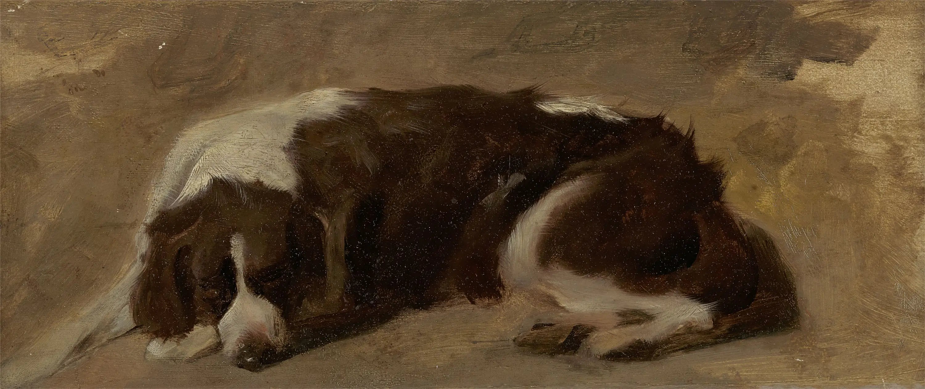 Un épagneul couché - Edwin Henry Landseer image 1 reproduction d’œuvre d’art à l’huile