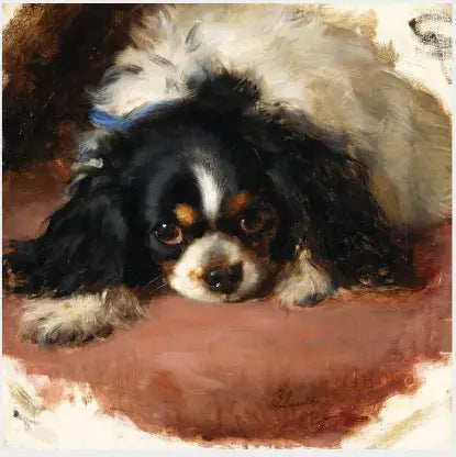 Un épagneul King Charles - Edwin Henry Landseer - Alpha Reproduction