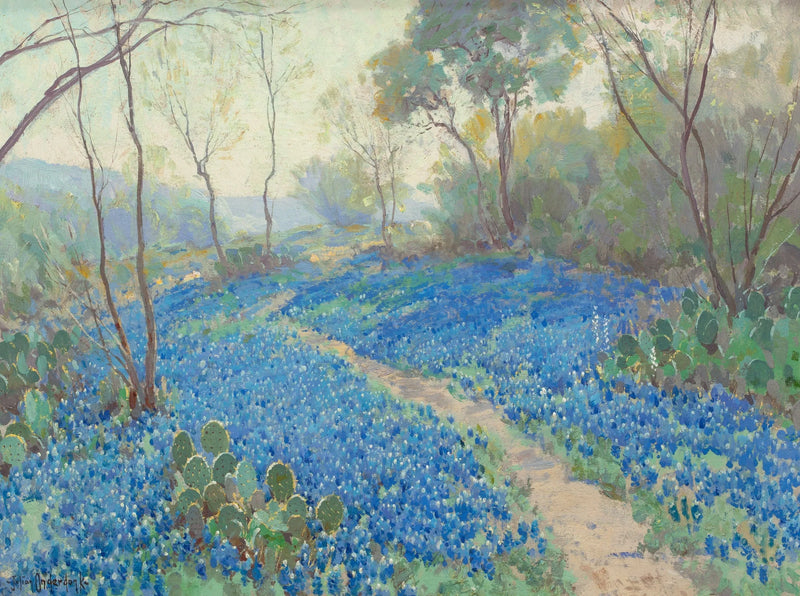 Un pendio ricoperto di lupini blu, al mattino presto, vicino a San Antonio, Texas. - Julian Onderdonk