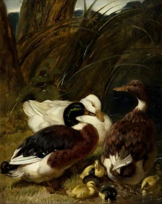 Un gruppo di anatre - John Frederick Herring, Sr.