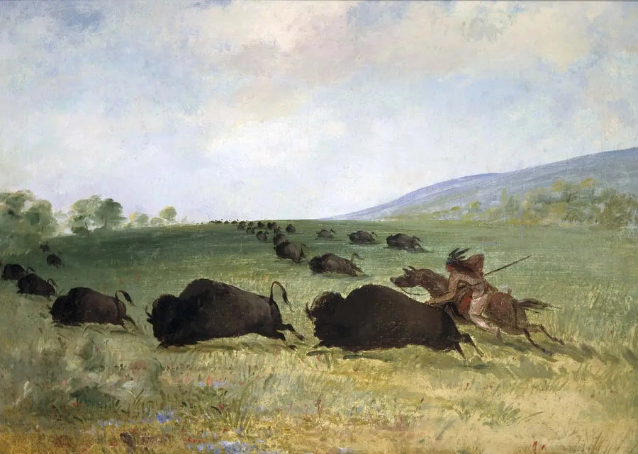 Un Indiano Osage lancia un bufalo - George Catlin