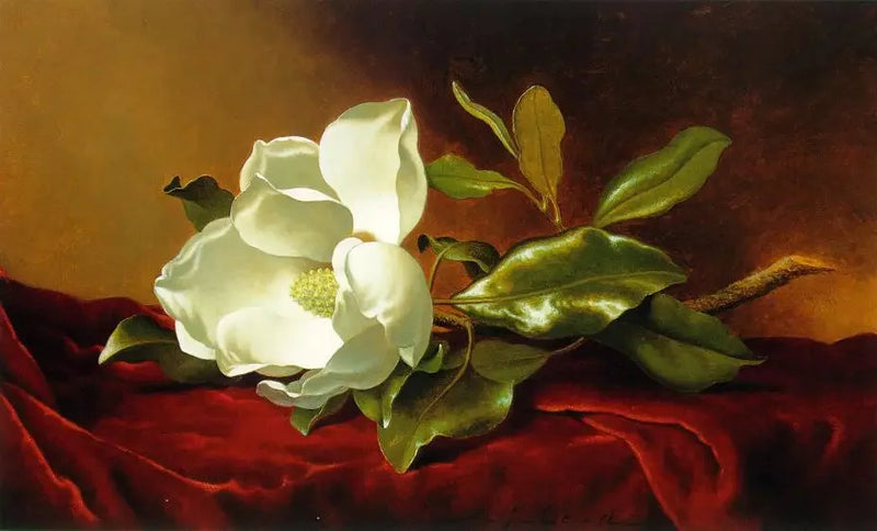 Un magnolia su velluto rosso - Martin Johnson Heade