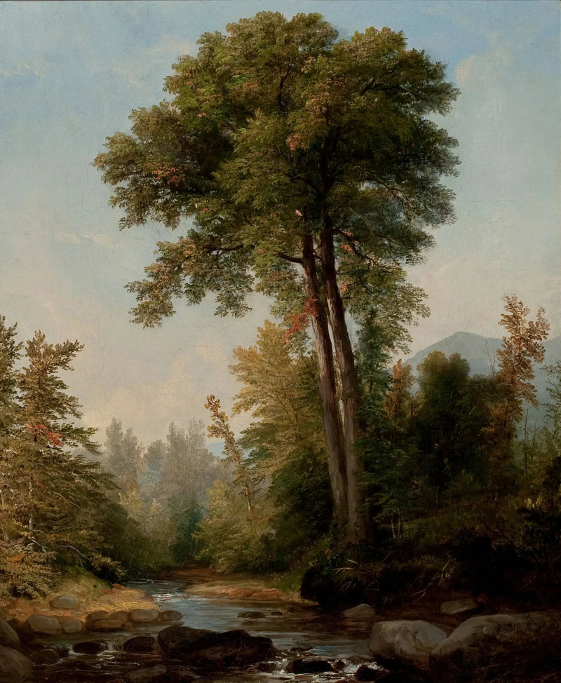 Un monarca naturale - Asher Brown Durand
