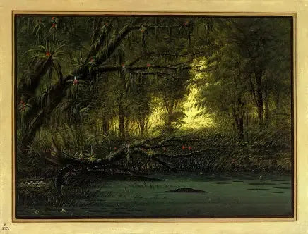 Un nido di alligatore - George Catlin