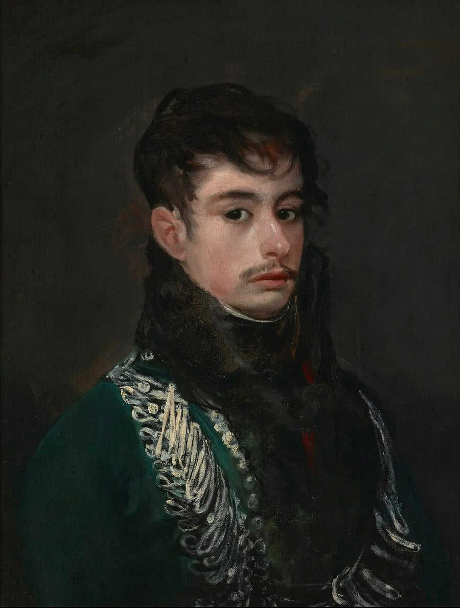 Un ufficiale (probabilmente il conte di Teba) - Francisco de Goya