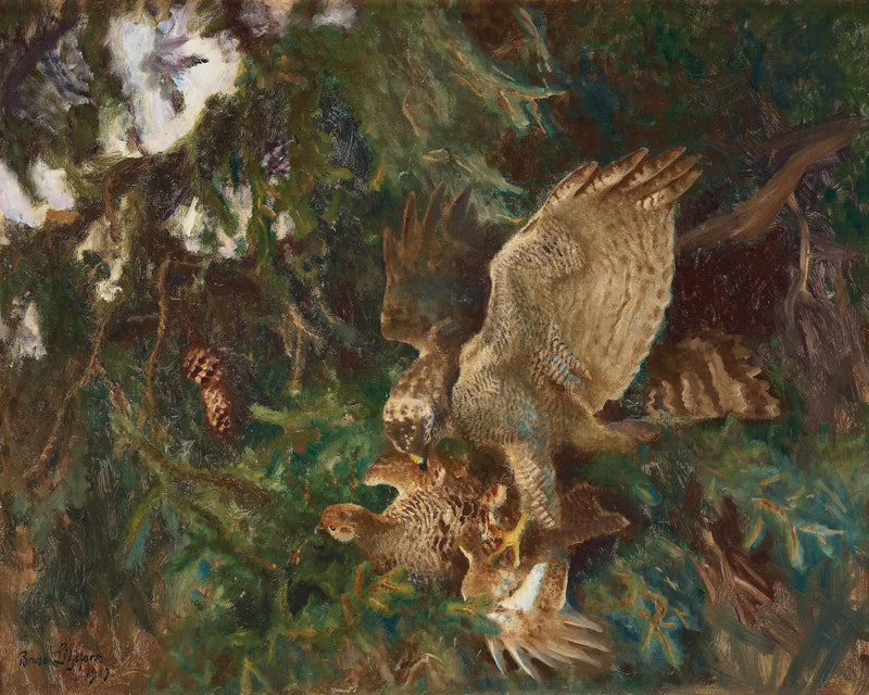 Un rapace colpisce la sua preda - Bruno Liljefors