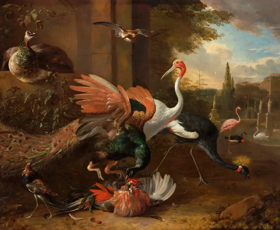 Un paon attaquant un gallo - Melchior de Hondecoeter