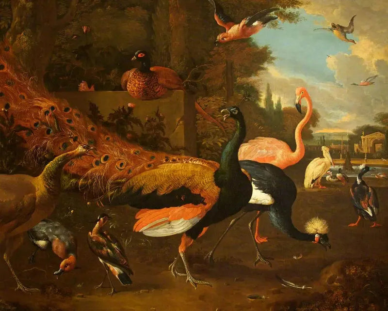 Un paon e una papessa con una gru, una fenicottera, un pellicano e altri uccelli, in un parco - Melchior de Hondecoeter