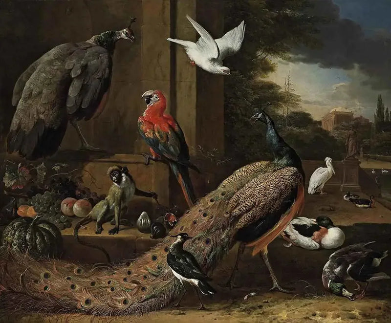 Un paon, una paona, un scimmia e altri uccelli su una terrazza - Melchior de Hondecoeter