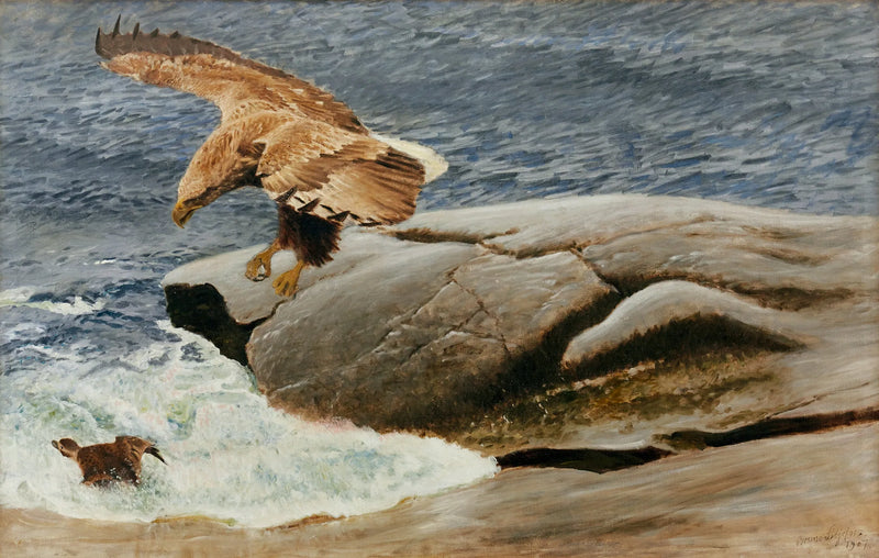 Un'aquila di mare dalla coda bianca caccia una moretta codona - Bruno Liljefors
