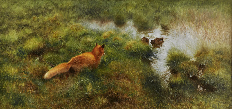 Una volpe insegue le anatre lungo un ruscello. - Bruno Liljefors