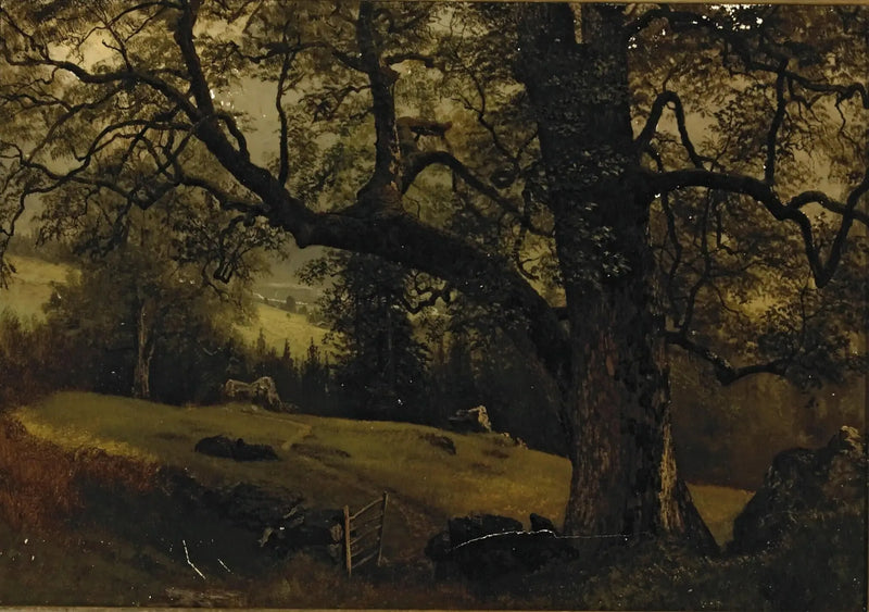Un sentiero attraverso gli alberi - Albert Bierstadt